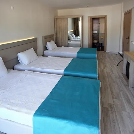 Ξενοδοχείο Palmea 4*