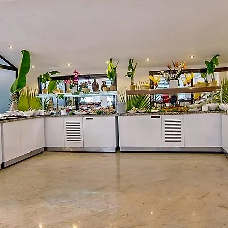 Palmea Hotell 4*