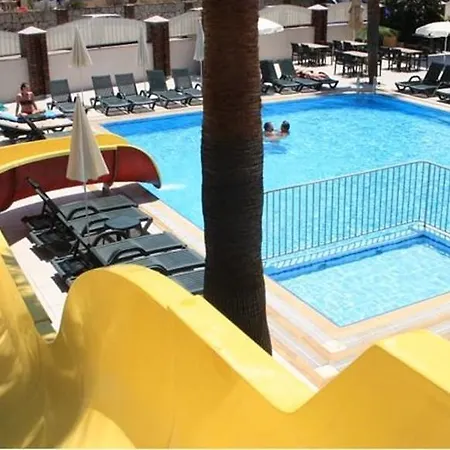 Palmea Hotell 4*