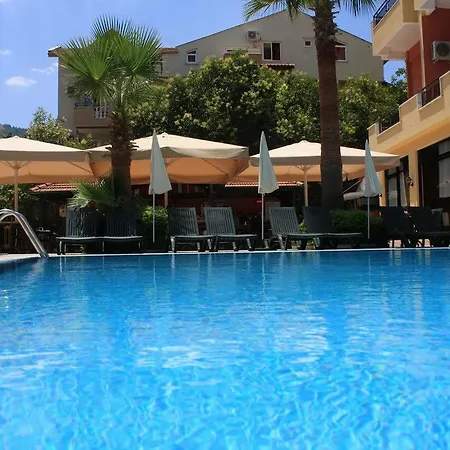 Palmea Hotell 4*